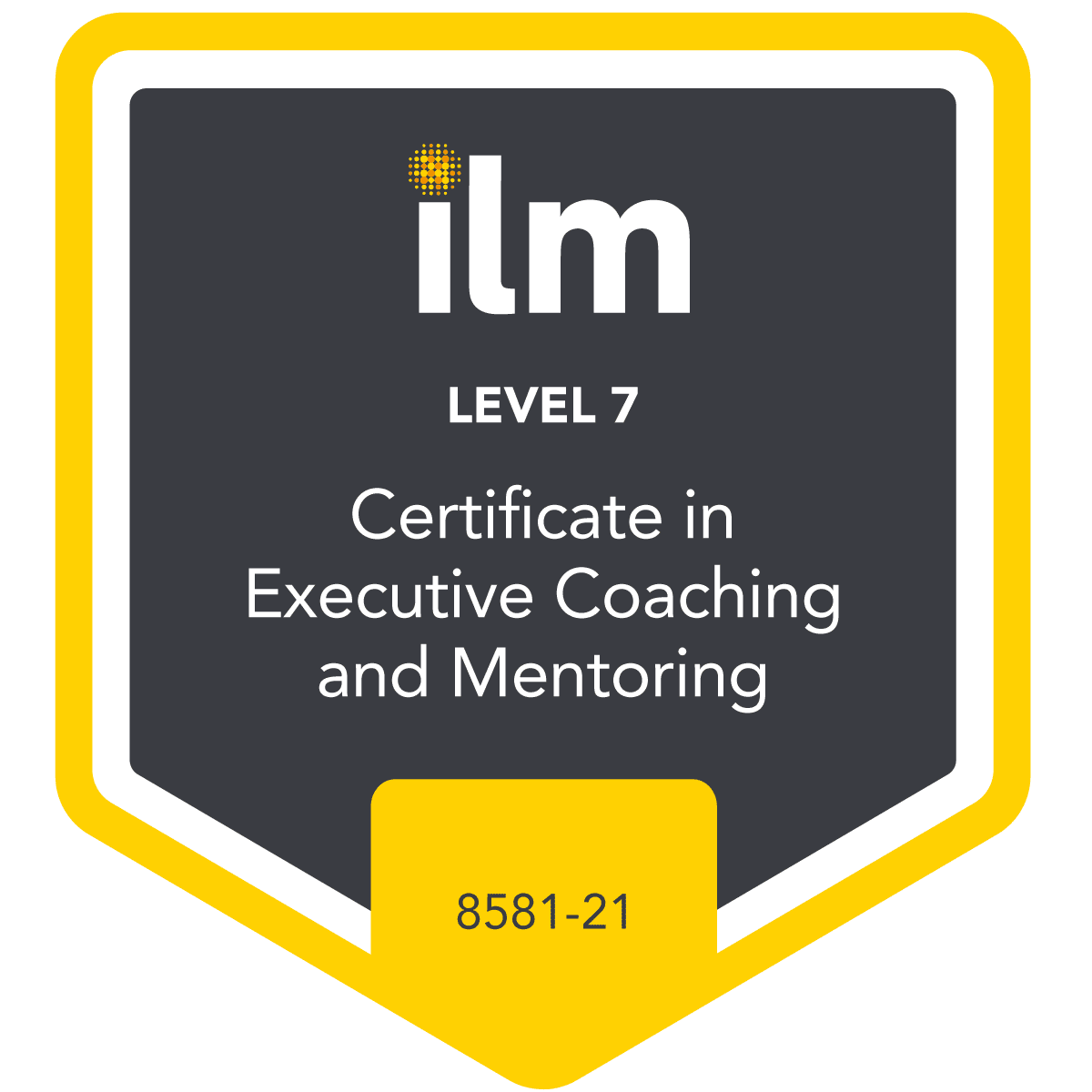Level 7 Executive Coaching and Mentoring